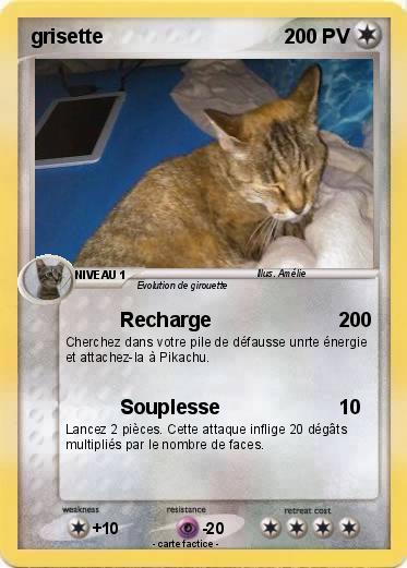 Pokemon grisette