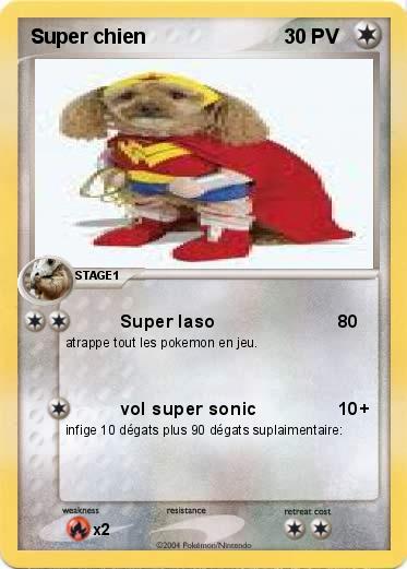 Pokemon Super chien