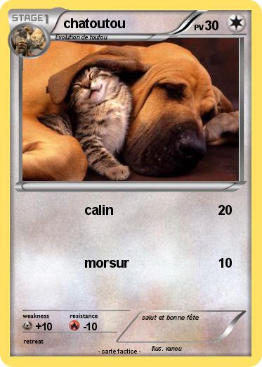 Pokemon chatoutou