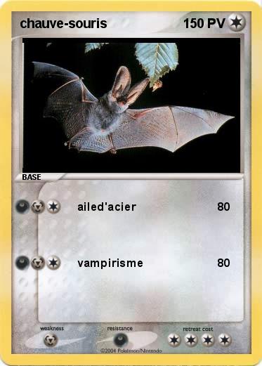Pokemon chauve-souris
