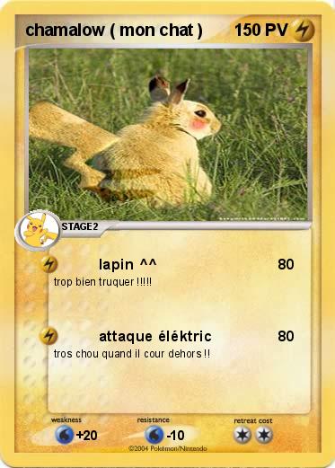 Pokemon chamalow ( mon chat ) 