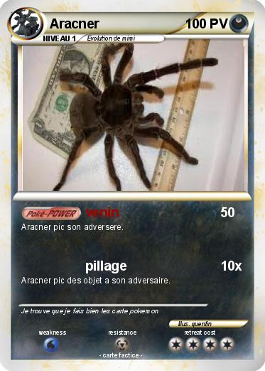 Pokemon Aracner