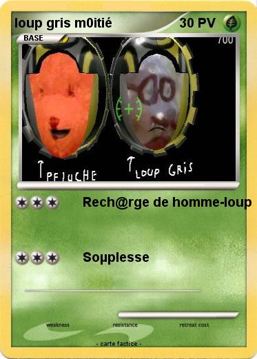 Pokemon loup gris m0itié