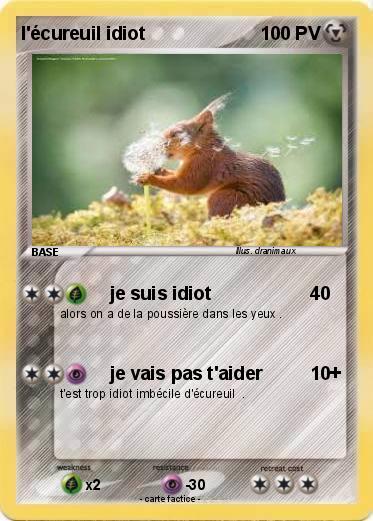 Pokemon l'écureuil idiot