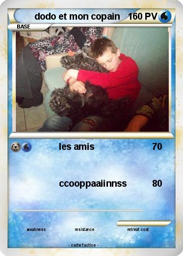 Pokemon dodo et mon copain
