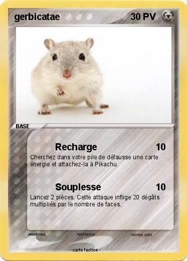 Pokemon gerbicatae