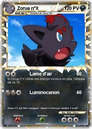 Pokemon Zorua n°X