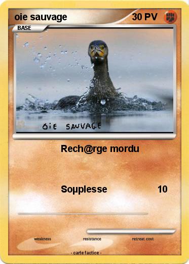 Pokemon oie sauvage