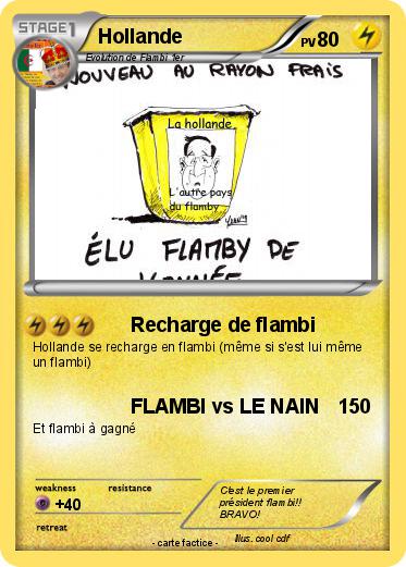 Pokemon Hollande