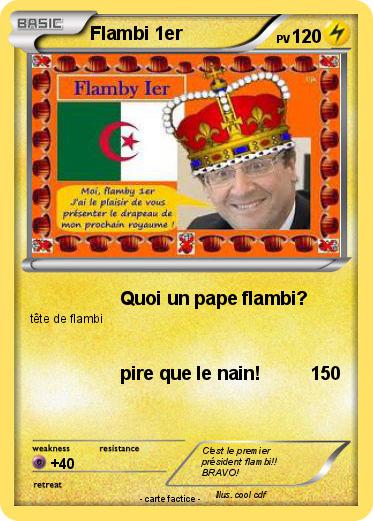 Pokemon Flambi 1er