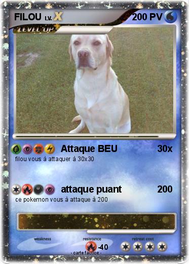 Pokemon FILOU
