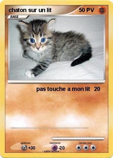 Pokemon chaton sur un lit