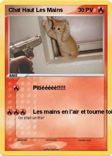 Pokemon Chat Haut Les Mains