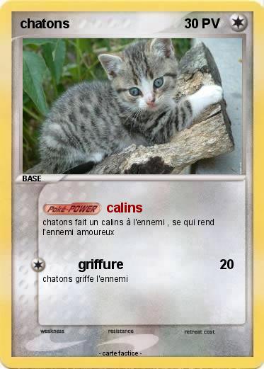 Pokemon chatons