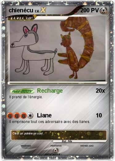 Pokemon chienécu