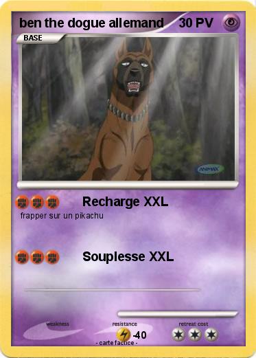 Pokemon ben the dogue allemand