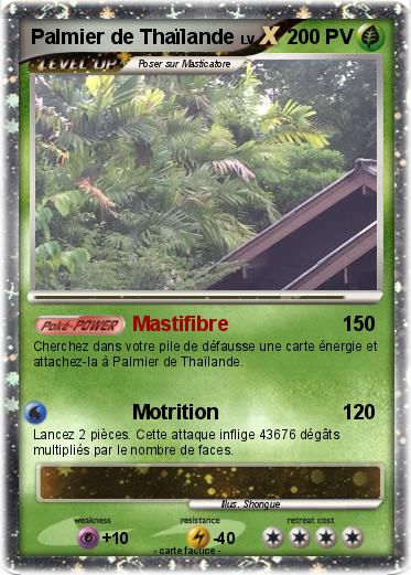 Pokemon Palmier de Thaïlande