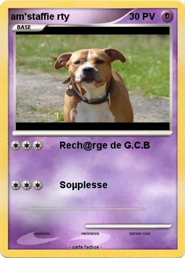 Pokemon am'staffie rty