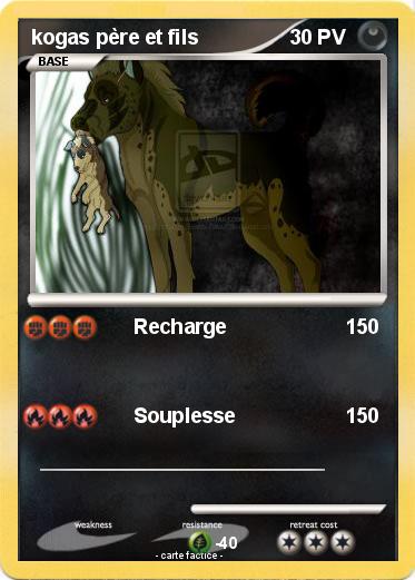 Pokemon kogas père et fils