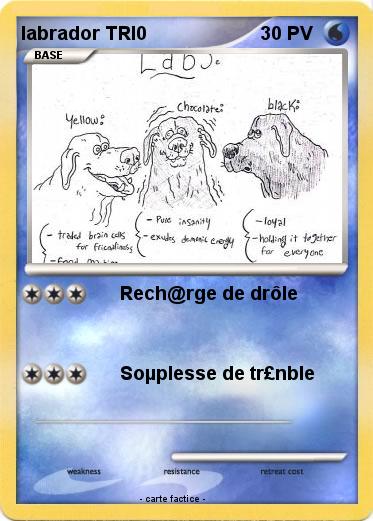 Pokemon labrador TRI0