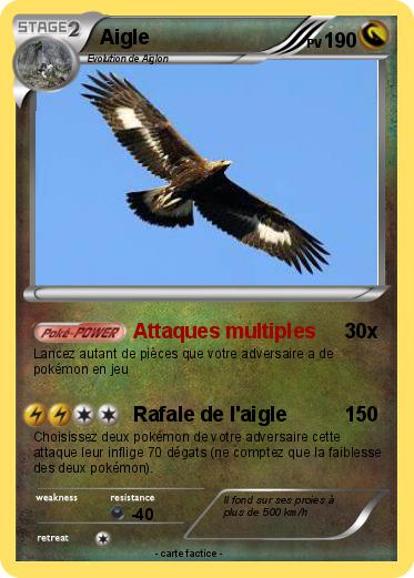 Pokemon Aigle