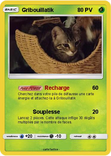 Pokemon Gribouillatik