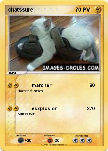 Pokemon chatssure