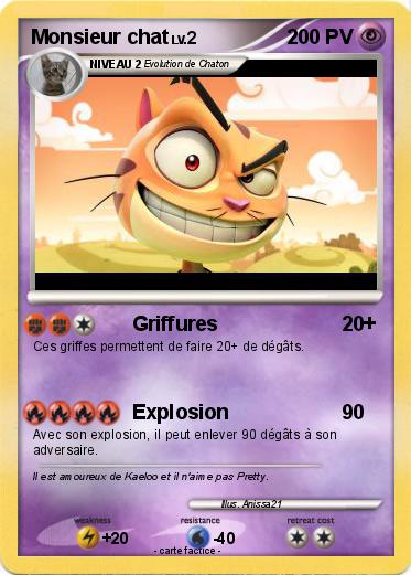 Pokemon Monsieur chat