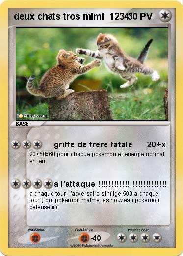 Pokemon deux chats tros mimi  1234