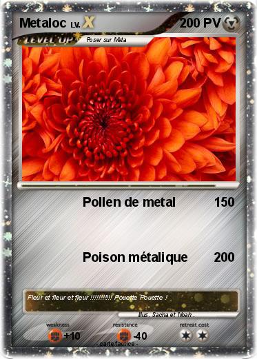 Pokemon Metaloc