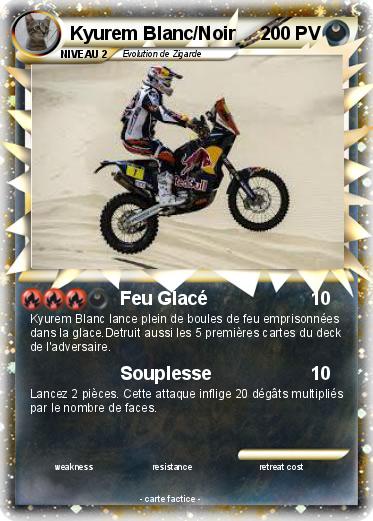 Pokemon Kyurem Blanc/Noir