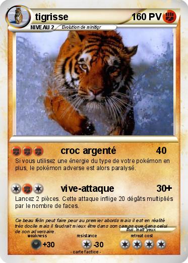Pokemon tigrisse