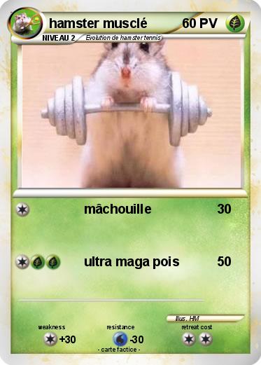Pokemon hamster musclé