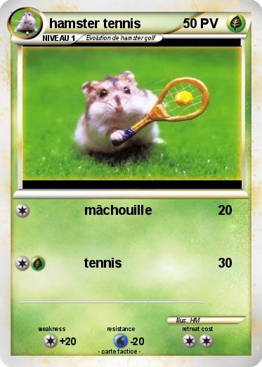 Pokemon hamster tennis
