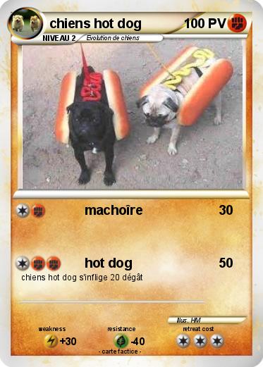 Pokemon chiens hot dog