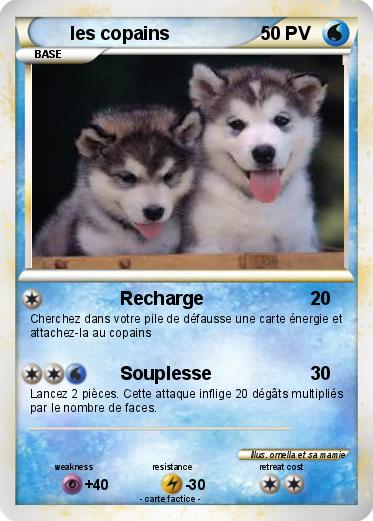 Pokemon les copains