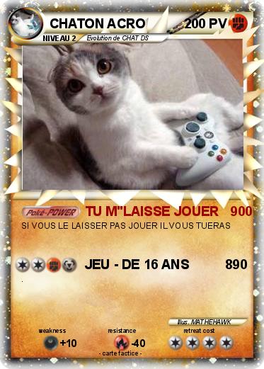 Pokemon CHATON ACRO