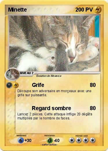 Pokemon Minette
