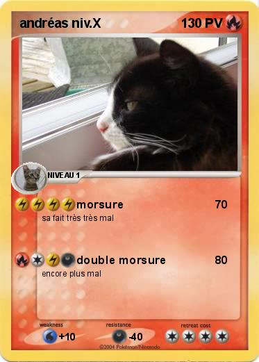 Pokemon andréas niv.X