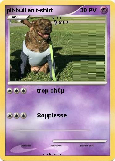 Pokemon pit-bull en t-shirt