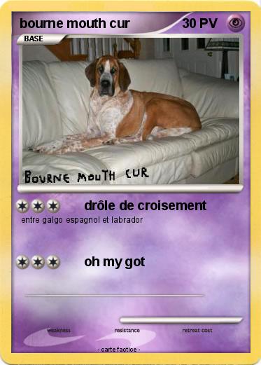 Pokemon bourne mouth cur