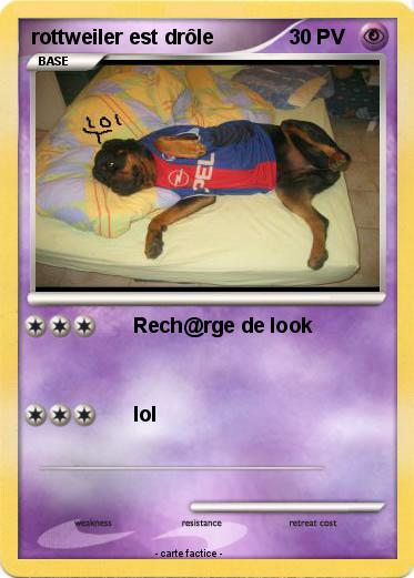 Pokemon rottweiler est drôle