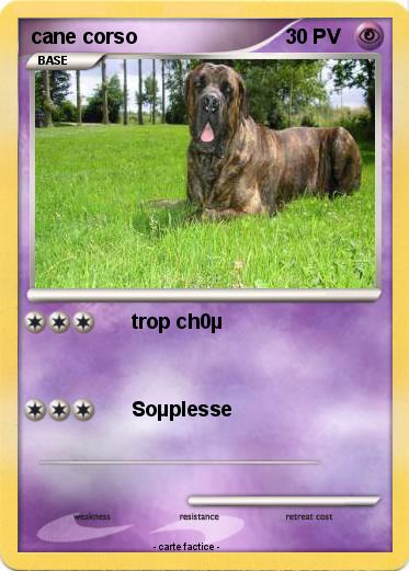 Pokemon cane corso