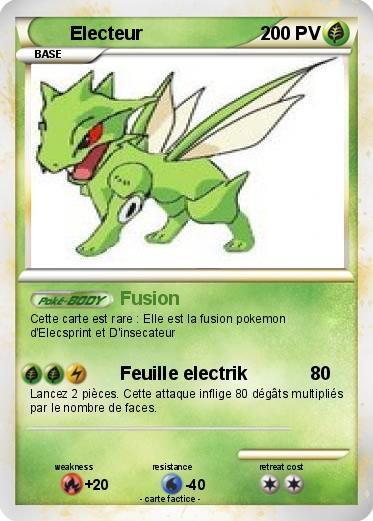 Pokemon Electeur