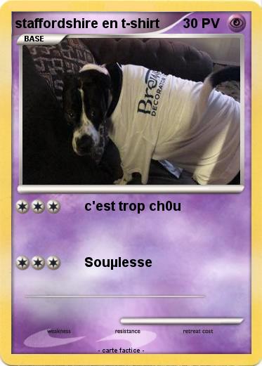 Pokemon staffordshire en t-shirt