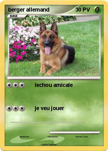 Pokemon berger allemand