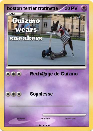 Pokemon boston terrier trotinette