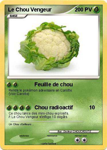 Pokemon Le Chou Vengeur