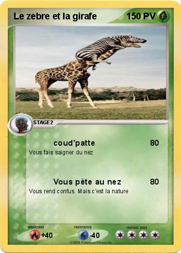 Pokemon Le zebre et la girafe