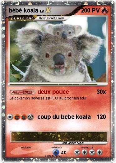Pokemon bébé koala